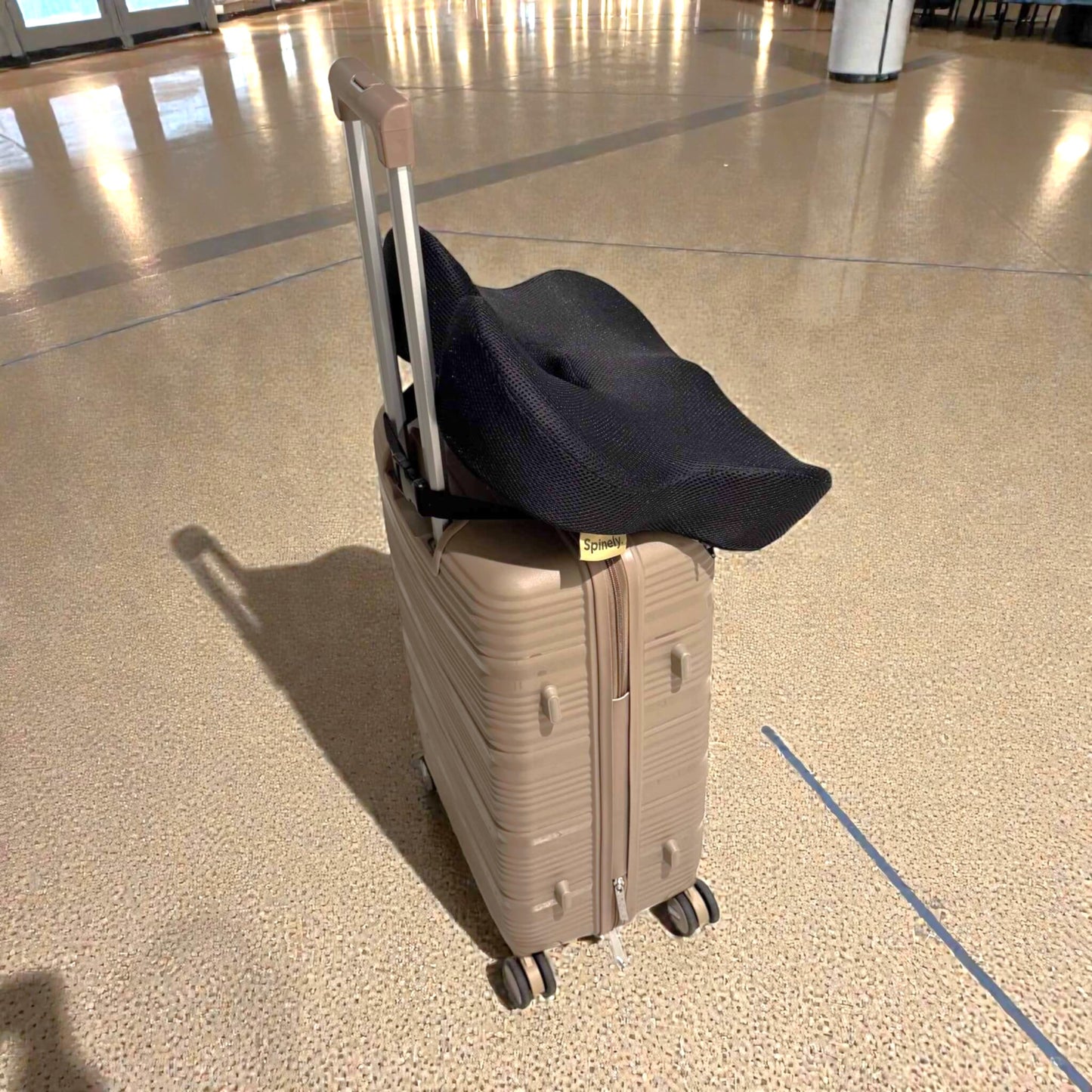 Spinely™ ComfortPro Strap Edition